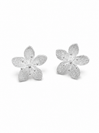 AROS MAGNOLIA PLATA
