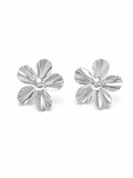 AROS BLOOM PLATA