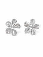 AROS BLOOM PLATA