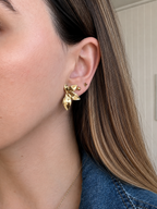 AROS PETRA ORO
